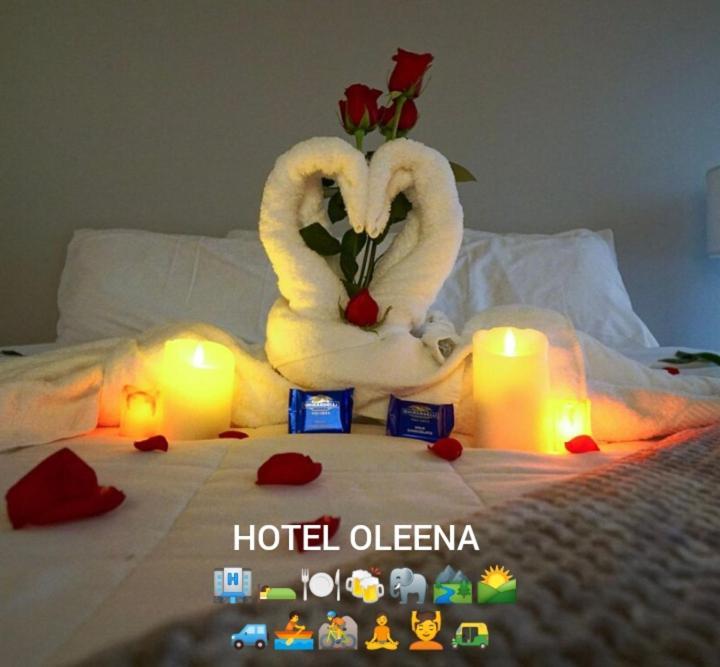 Oleena Home Stay Habarana Exterior photo